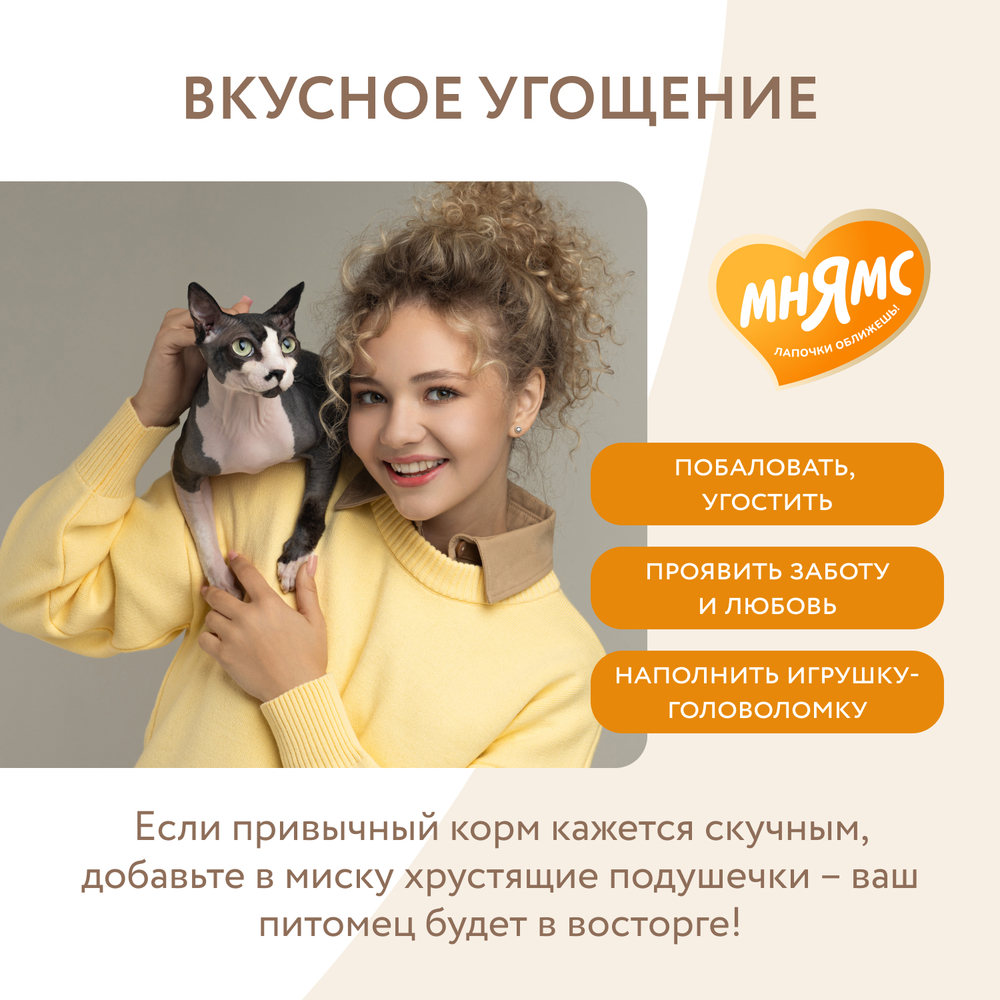 МНЯМС Лакомство "Здоровье и активность" хрустящие подушечки для кошек с курицей, 60 г