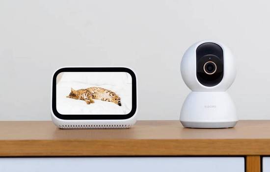 IP камера Xiaomi Smart Camera C300 (XMC01)