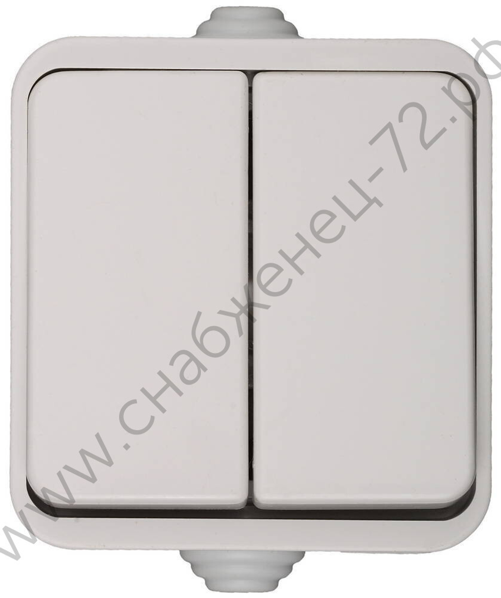 СВЕТОЗАР Баттерфляй, IP44 16A/~250В, Двухклавишный выключатель (SV-54334-W)