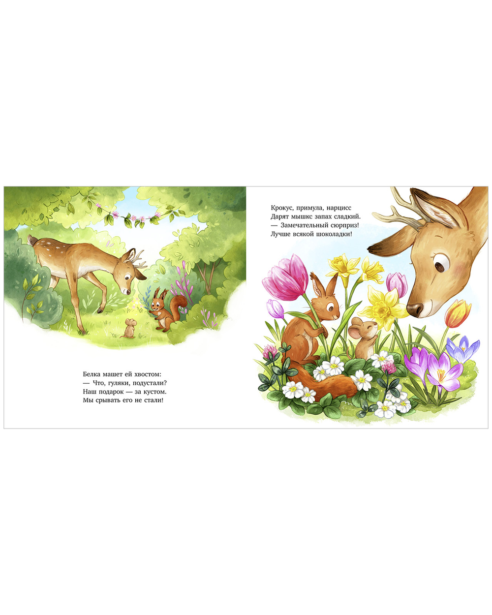 Книжки-картинки. Важный день малышки Мышки