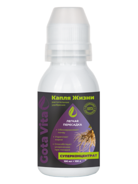 Легкая пересадка