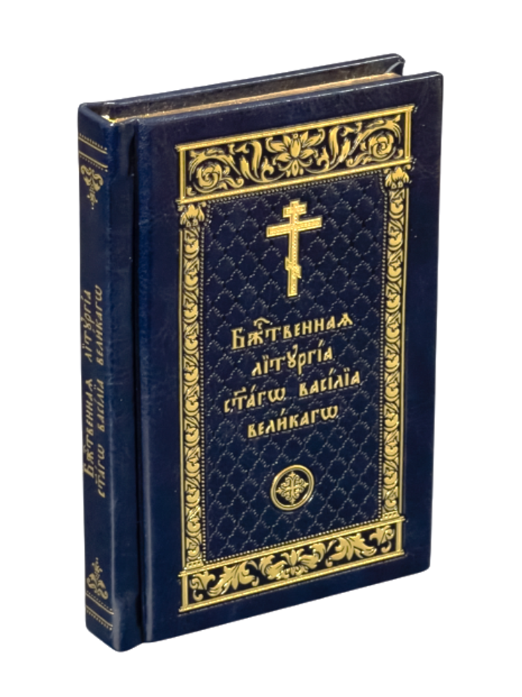 IMG_9522-Photoroom (1)