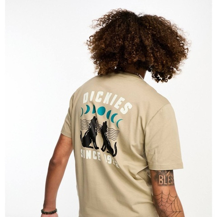 Футболка Dickies