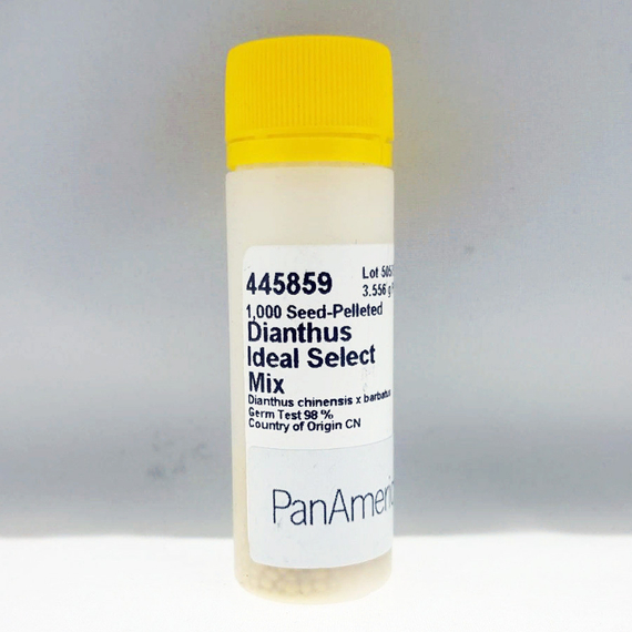 Гвоздика китайская X БОРОДАТАЯ IDEAL SELECT MIX – фото 3