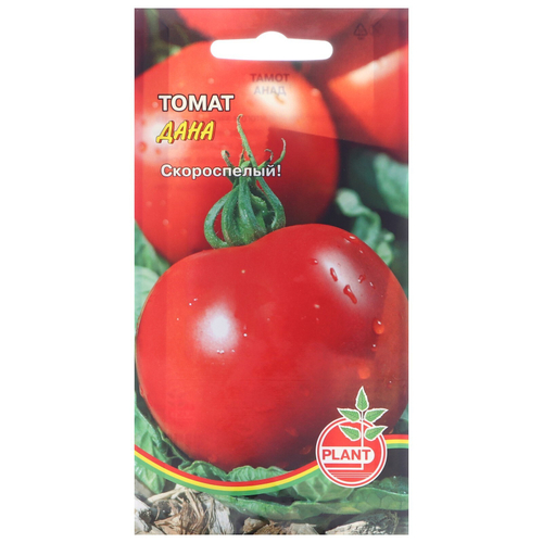 Томат Дана 20шт