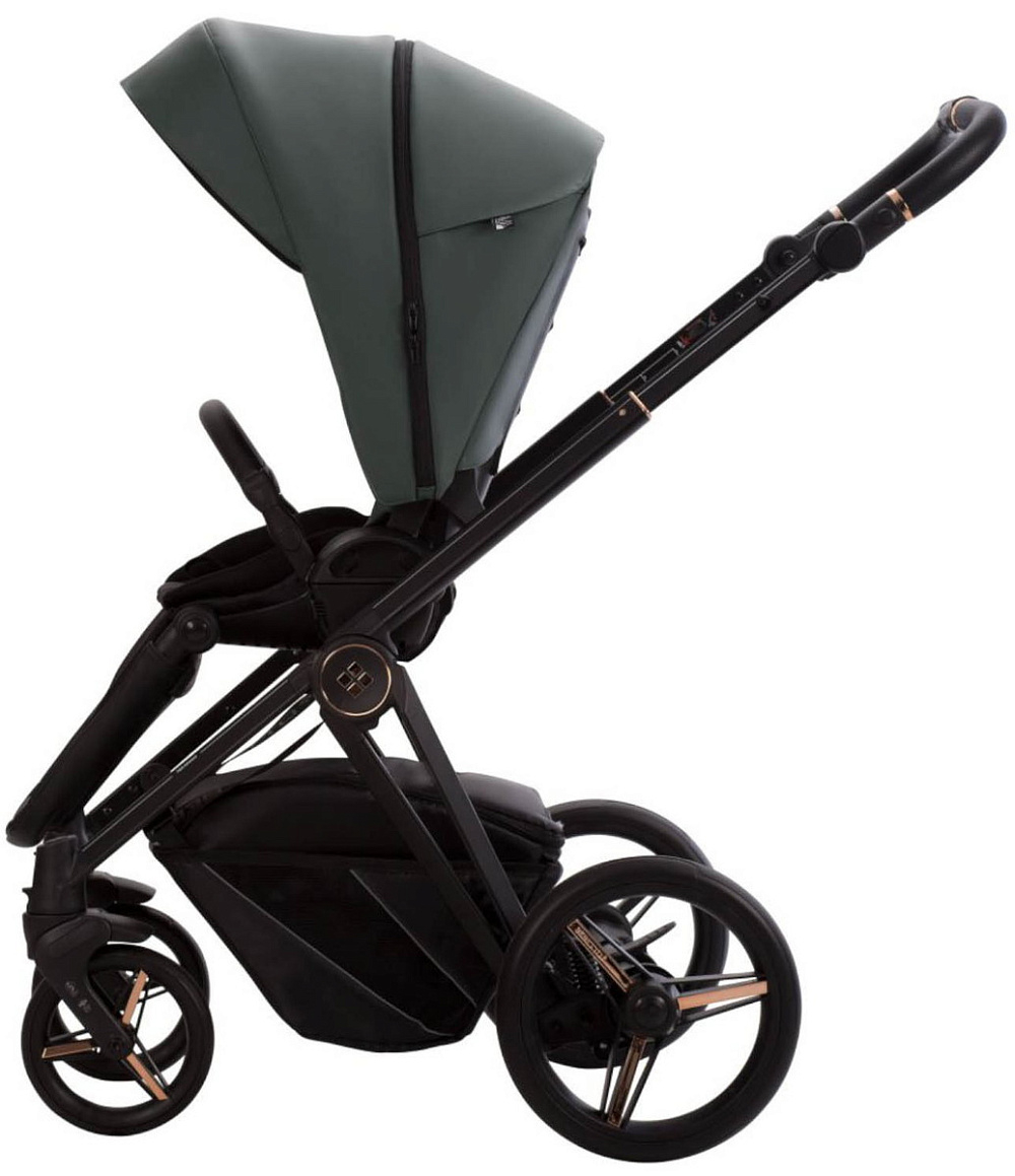 Детская коляска Bebetto Monti Pro 2 в 1 02 Stella т.зеленая кожа