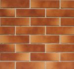 Paradyz Aquarius Brown - Плитка клинкерная фасадная 245x65