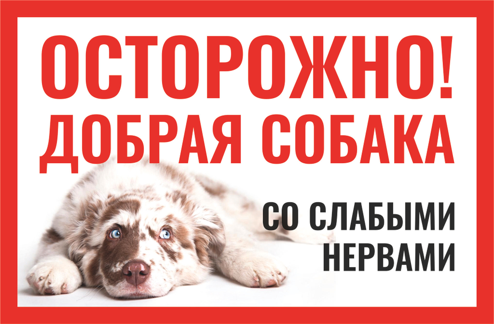 Табличка "Осторожно быстрая собака"