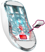 Мышь Defender Fame GM-516 52516 белый