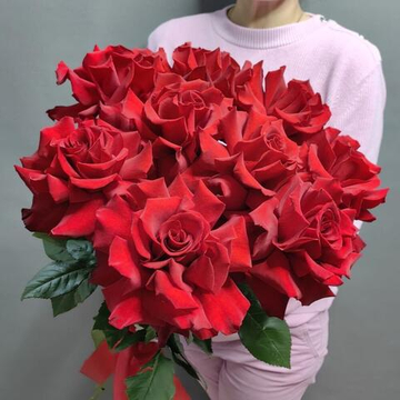 9 французских роз сорта "Эксплорер" под ленту (Эквадор 60 см)