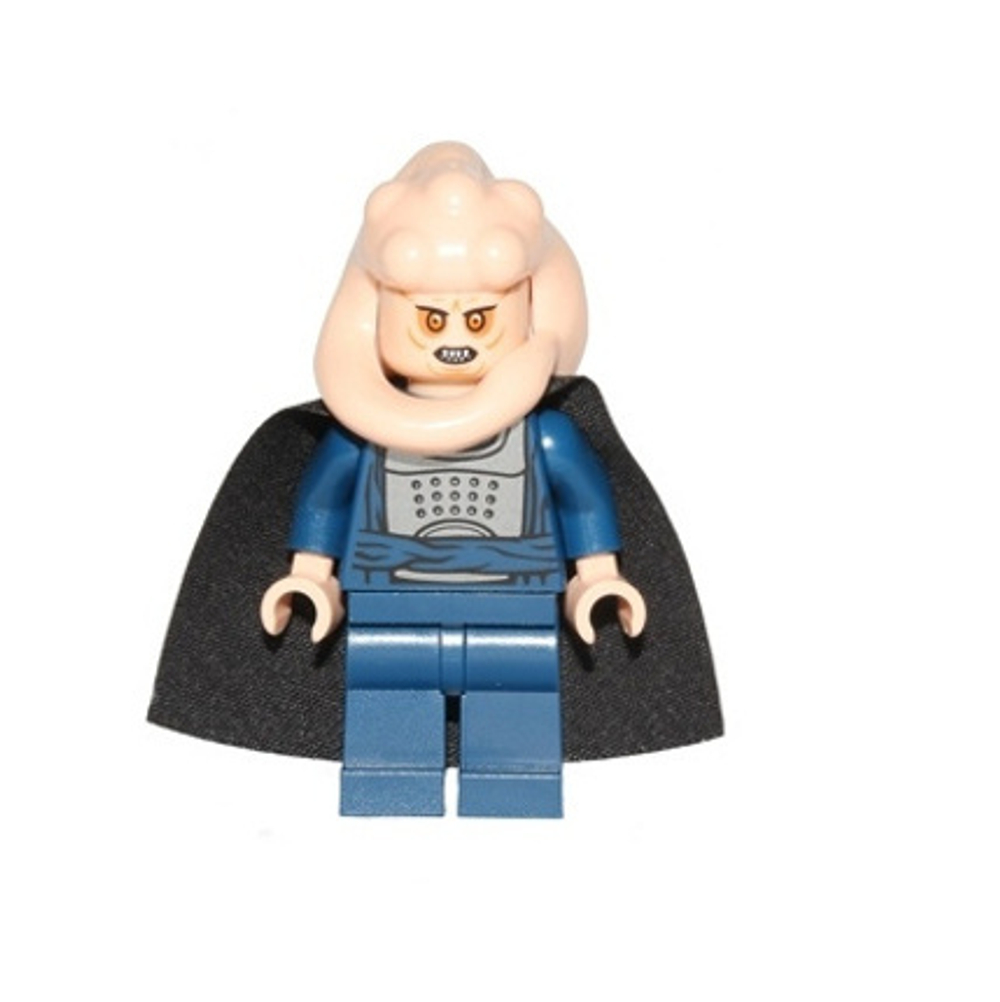 Биб Фортуна sw0404