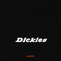  Футболка мужская Dickies Enterprise артикул:DK0A4YRNBLK1 - купить в магазине Дайс