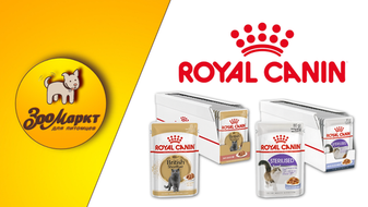 Royal canin
