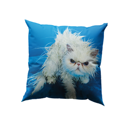 Подушка Angry Cat 02355