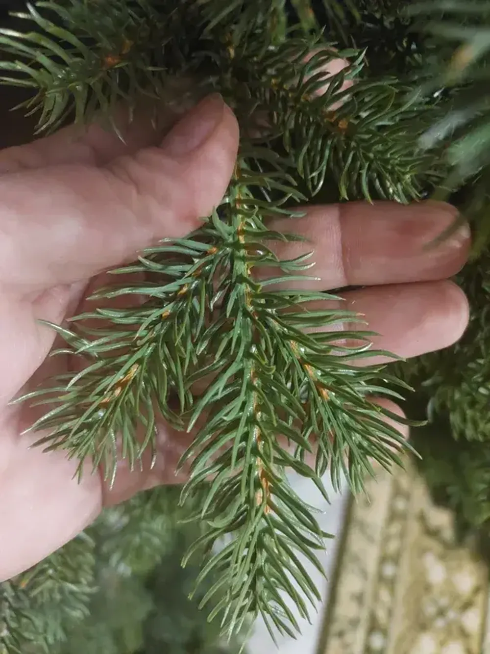 Искусственная ель «Леано» (Литая хвоя) 210 см / 2.1 м