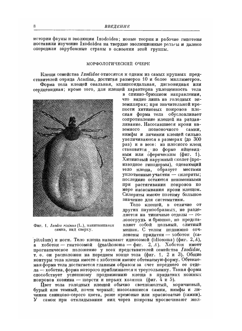 Фауна СССР. Паукообразные. Том IV. Выпуск 2. Иксодовые клещи | Померанцев Б.И.
