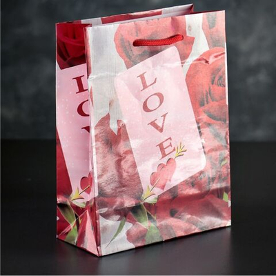 Подарочный пакет Любовь - 23 х 18 см. (Цвет: разноцветный)