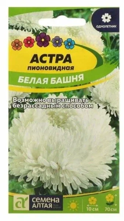 Астра семена