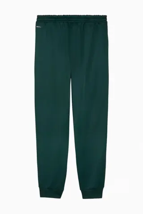 Штаны Puma Manchester City 25/26 KING Anthem - зеленый