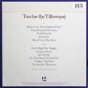 Yusuf (Cat Stevens) / Tea For The Tillerman 2 (LP)