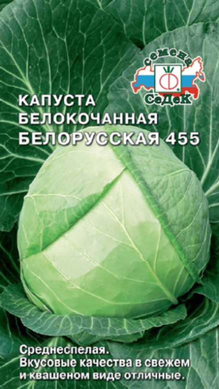 капуста Белорусская 455
