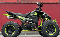 Квадроцикл PROMAX RAPTOR 300 AIR Monster