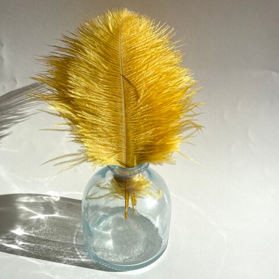 Перо страуса мимоза 10 - 15 см.