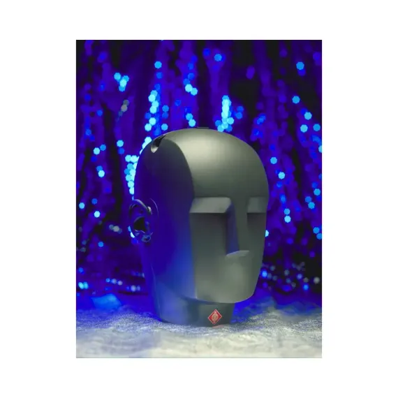 Neumann KU 100