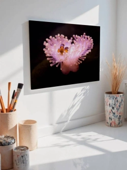 Картина на стену 40 X 50 Рыба клоун