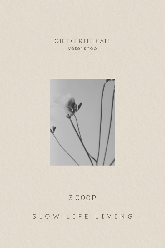Подарочный сертификат на 3,000 рублей / Veter Shop