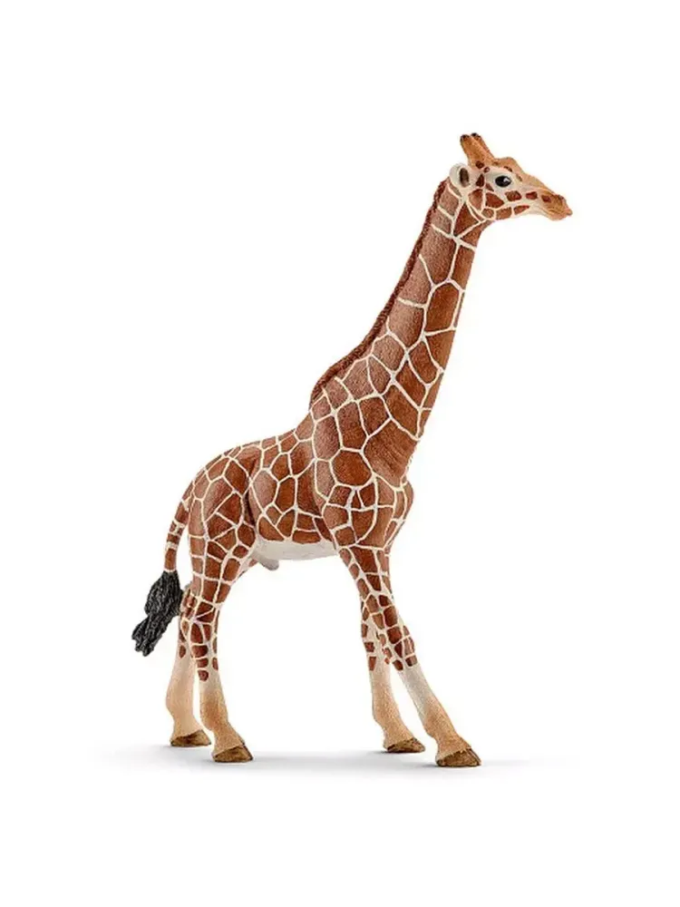 Фигурка Жираф самец Schleich 14749
