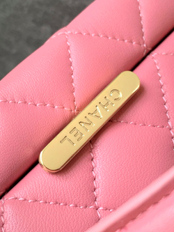 Chanel Bag (2 sizes)