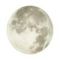 Настенно-потолочный светильник Sonex MOON 3084/CLN