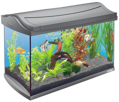 Аквариум AquaArt Discover Line 60л 60х31х42см