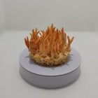 Плодовое тело с мицелием