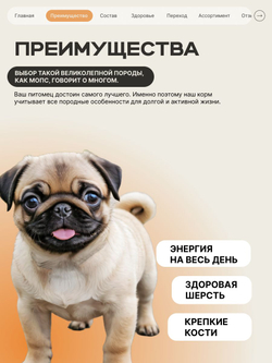 Корм сухой для щенков породы Мопс, с индейкой, 800 гр, QUATTRO