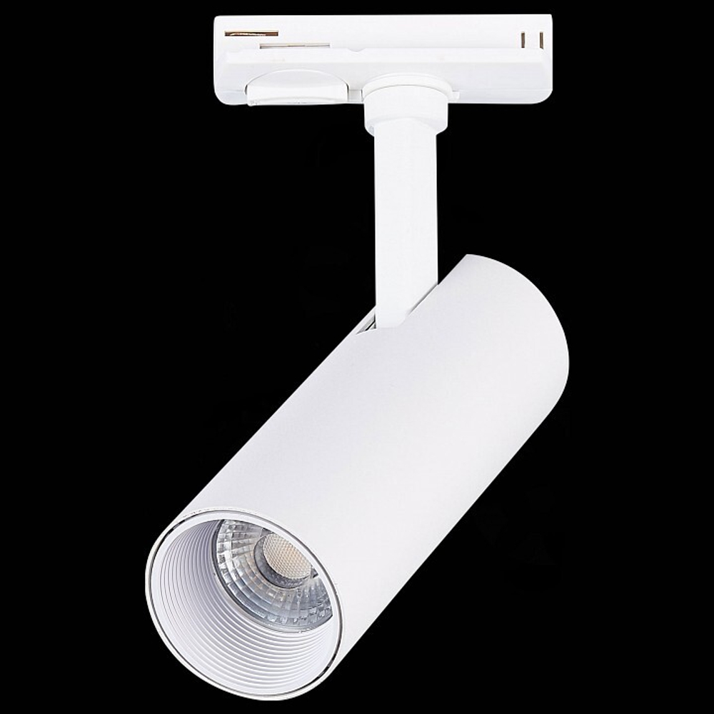 Светильник на штанге ST-Luce Mono ST350.546.10.36