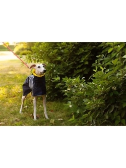 Попона дождевик для собак  средних пород Уиппета Левретки