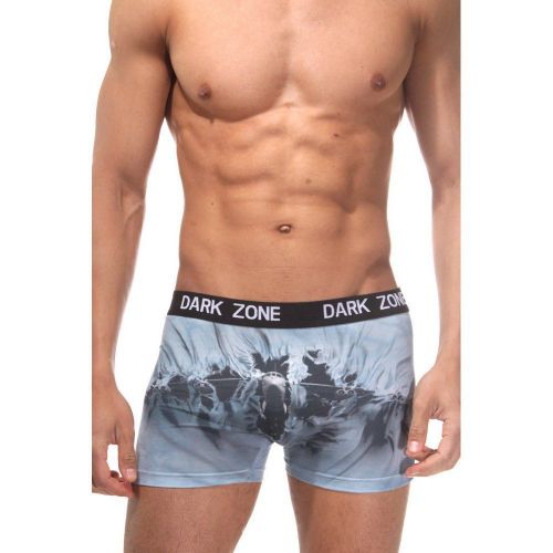 Трусы мужские боксеры с 3D принтом DARKZONE DZN1004
