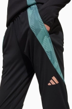 Штаны adidas FC Bayern 24/25 Training Junior - черный