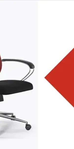 Офисные кресла Ergolife