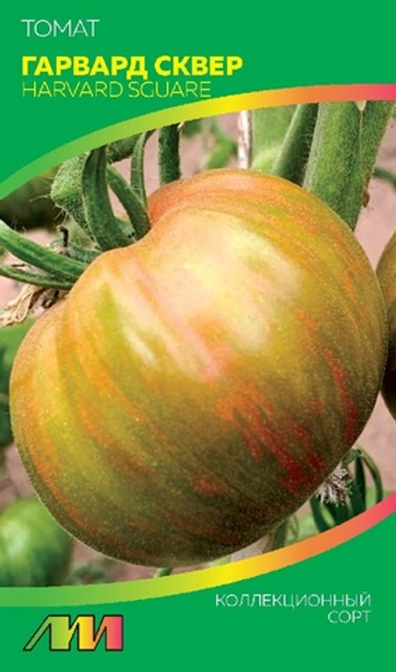 Томат Гарвард сквер 5шт Мязина