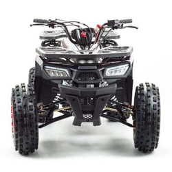 Квадроцикл MOTOLAND WILD 150