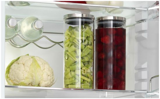 Холодильник Snaige RF57SM-S5RP210 (D91Z1C5SNBX)