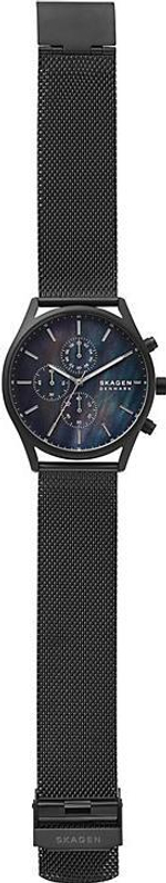 Мужские наручные часы Skagen SKW6651