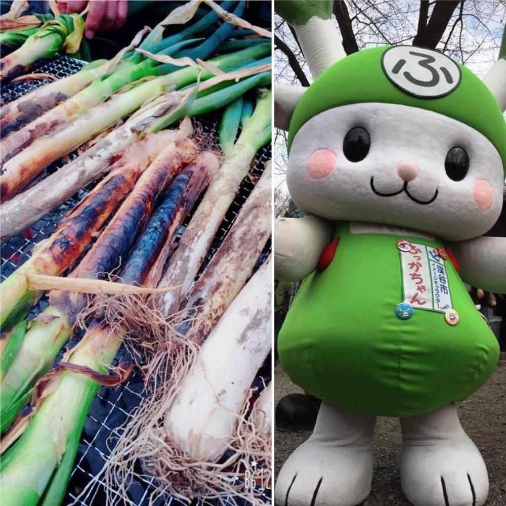 Зеленый Японский Лук Фукая - 深谷ねぎ