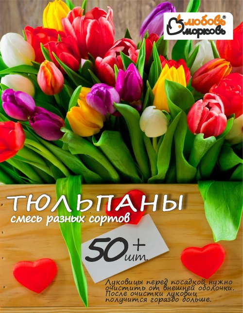 Тюльпан Луковицы неочищенные, Микс сортов, более 50шт+