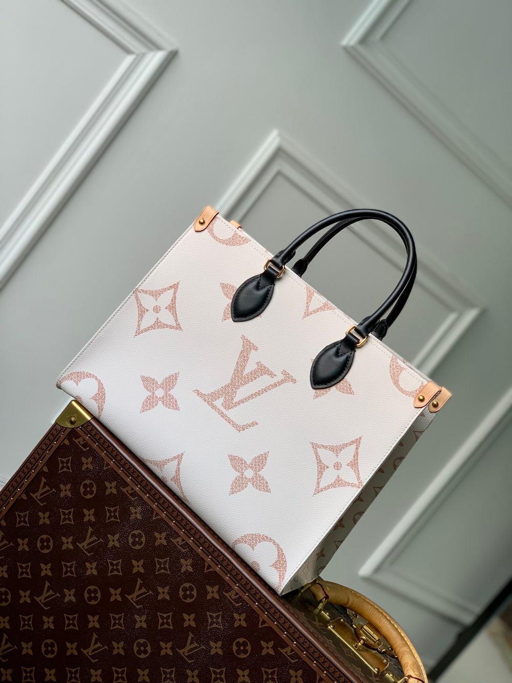 Louis Vuitton Onthego MM
