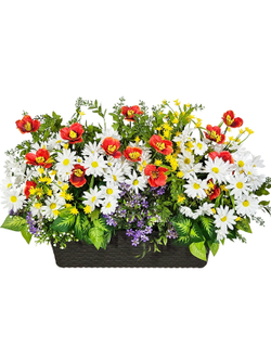 Ромашки и маки в длинном балконном ящике