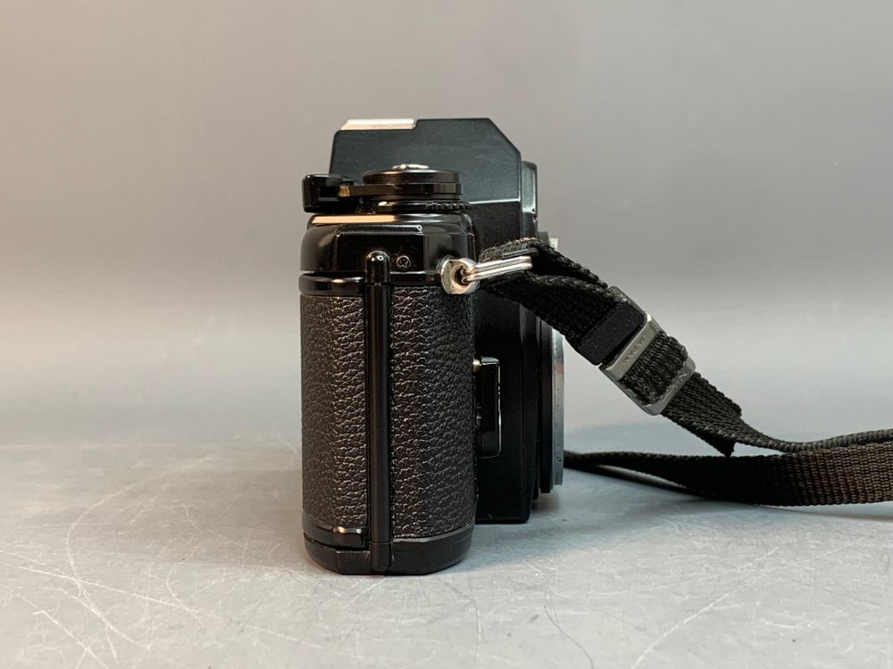 Nikon EM + Nikon 50mm f/1.8